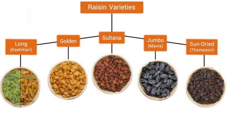 5 types of Iranian Raisins Export for global markets 